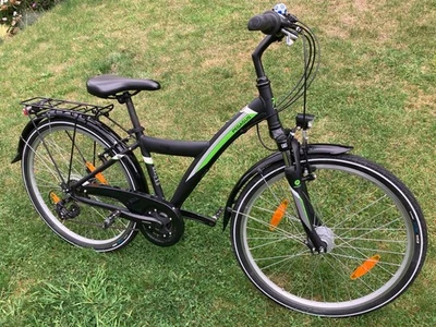 Pegasus Avanti, Jungen-Fahrrad 26", gebraucht, Sehr guter Zustand - Bild 1 von 4
