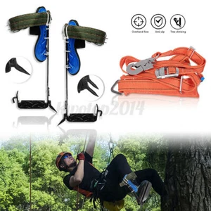 Spurs punta arrampicata sugli alberi, cinghie cintura di sicurezza corda, regolabile in acciaio inox - Foto 1 di 9