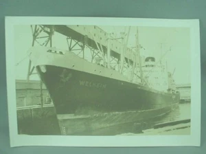 Tarjeta fotográfica de barco de vapor SS Welheim barco de carga de pasajeros pesca arrastrero vintage blanco y negro - Imagen 1 de 3