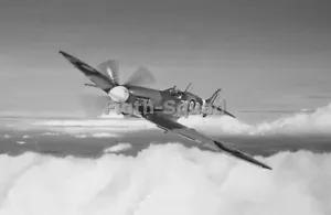 WW2 foto foto ww2 foto caccia Spitfire inglese BW 5586 - Foto 1 di 1
