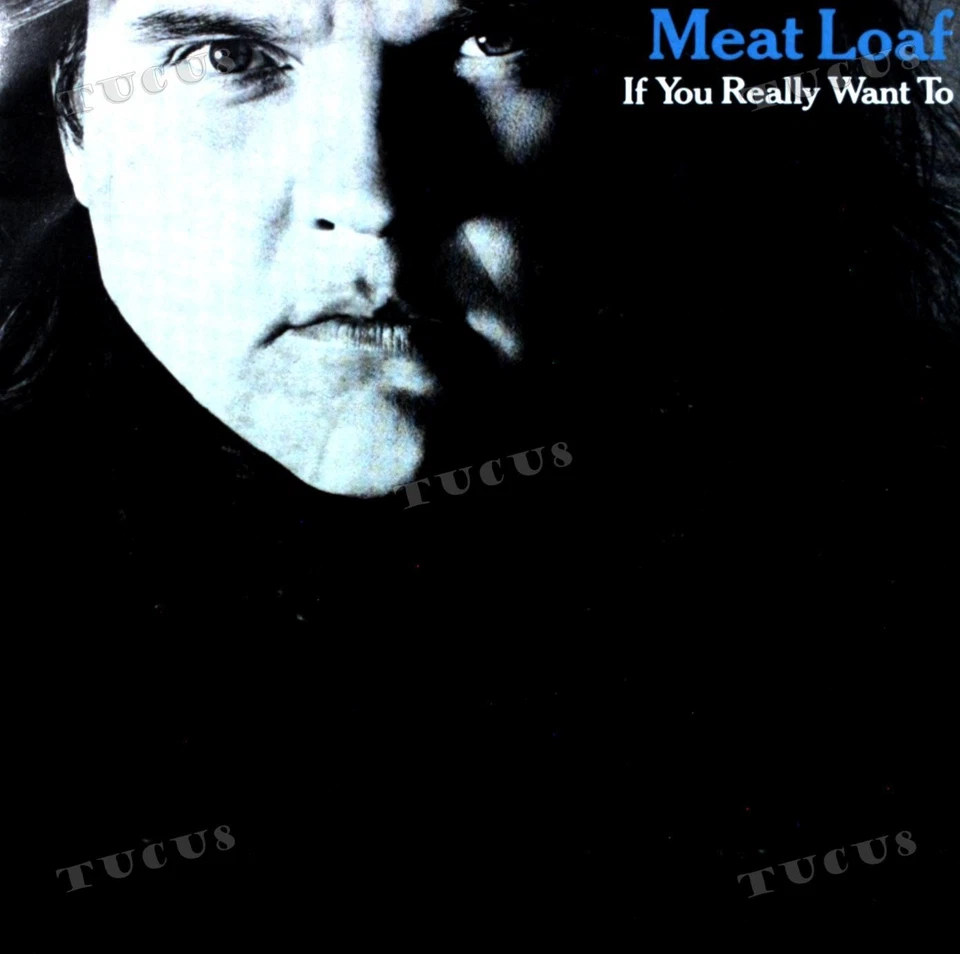 Meat Loaf - If You Really Want To 7in 1983 (VG/VG) .* - Image 1 of 1