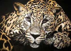 Leopard portrait Original Large Pastel Painting Wall Decor ART SIGNED drawing - Picture 1 of 9