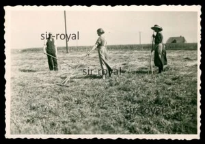 Feldarbeit Landwirtschaft - 1930er - Foto 9x6cm - Bild 1 von 2
