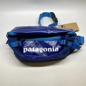 Patagonia Black Hole Waist Pack 5L Bag Fanny Hip Pack Teal Blue - Picture 1 of 8