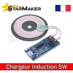 Chargeur à Induction universel 5V 1A Micro USB Téléphone Module DIY bobine 5W - Imagen 1 de 2