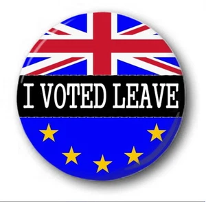 I VOTED LEAVE - 25mm 1" Button Badge - Novelty Cute EU Referendum Brexit Europe - Picture 1 of 1