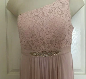 Adrianna Papell Womens Formal Wedding Gown Pink One Shoulder Lace Chiffon Sz12 - Picture 1 of 7