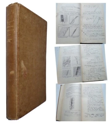 1911 MANUSCRIPT GEOLOGY BOOK Stanford University Handwritten Geological Notes - Image 1 of 4
