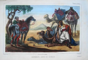 Wüste Arabien Araber Kamele Sinai altkolorierte Lithographie um 1840 - Picture 1 of 1