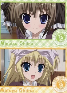 2 pcs postcard promo Seitokai no Ichizon anime Shiina Minatsu Shiina Mafuyu - Picture 1 of 4
