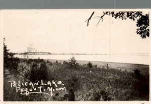 CARTOLINA RPPC LAGO PELLICANO VICINO PEQUOT MINNESOTA - Foto 1 di 2