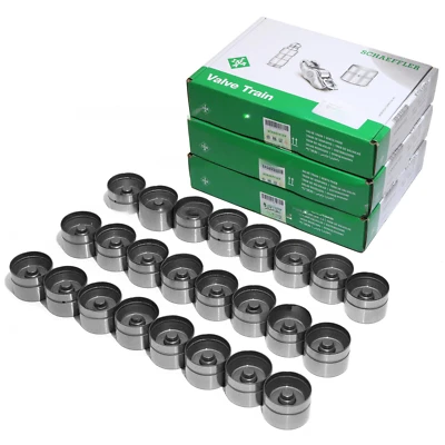 24 Valve Hydraulic Lifters for 95-06 BMW 323 325 328 330 525 530 M3 X3 X5 Z3 Z4 - Image 1 of 4