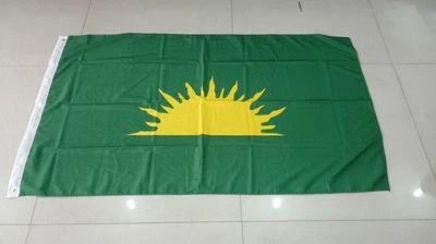 BANDERA VERDE SUNBURST - 5' x 3' - HERMANDAD REPUBLICANA IRLANDESA PASCUA 1916 RARA Foto 1 de 3