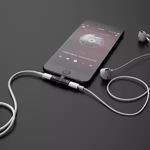 Dual Adapter Splitter Audio Earphone AUX Charger iPhone XS Max XR XS X - Picture 1 of 7