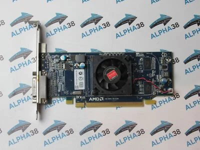 Scheda Video AMD Radeon HD6350 512 MB DDR2 HP 637995-001 ATI-102-C09003B DMS-59 - Immagine 1 di 2
