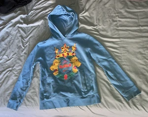 Big Kids Large Nike Lebron Hooded w/Pockets Sweatshirt Blue Strive for Greatness - Picture 1 of 20