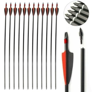 12/24Pcs 30" Fiberglass Arrows Archery OD 8mm For Recurve/Compound bow Hunting - Picture 1 of 13
