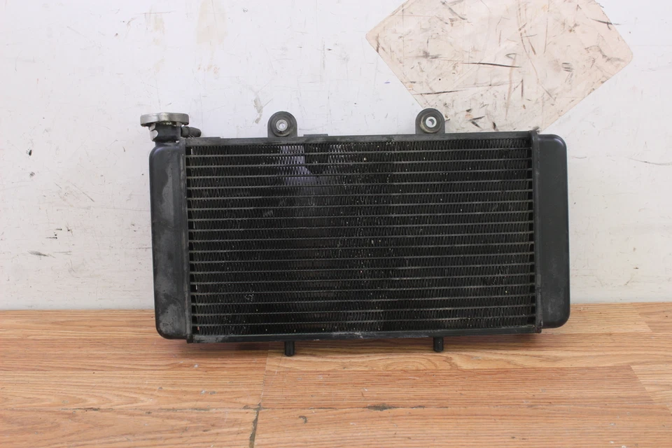 1998 BMW F650 FUNDURO Radiator Cooler - Image 1 of 4