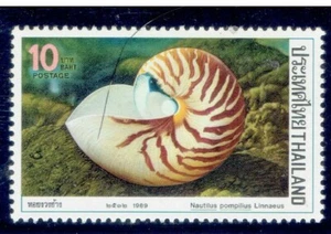 THAILANDIA 1989 Conchiglie (Fauna) 10b - Foto 1 di 2