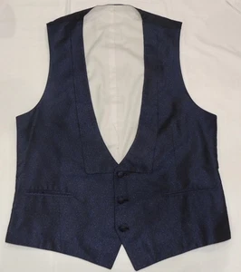 Spectacular Brioni Men's pure Silk Blue Formal Waistcoat Vest Size 36 - Small - Picture 1 of 13