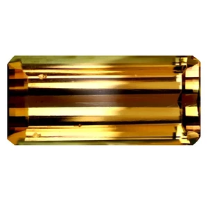 3.94 ct Octagon (13.61 x 6.34 mm) Unheated Mozambique Bi-Color Tourmaline - Picture 1 of 2