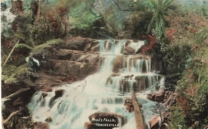 Postcard Myer's Falls Healesville Victoria - Picture 1 of 2