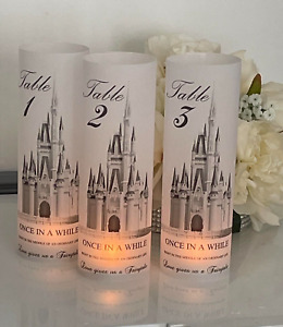Ten Disney Cinderella Castle Wedding Luminaries Table Numbers/Candle Wraps