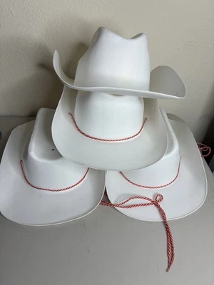 Juego De Colección De 4 Sombreros De Vaquero Lewtan EE. UU. Disfraz De Plástico Blanco Pequeño Foto 1 de 4