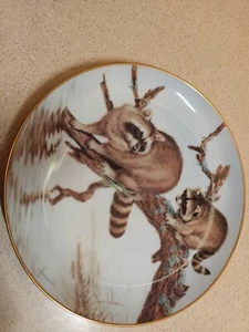 The Forest Year March Racoons Collectors Plate By John Francis ~1982s - Picture 1 of 9
