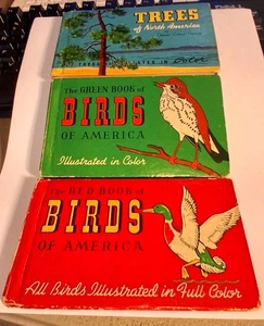 Vögel und Bäume Amerikas 2 Bücher Vögel plus 1 blaues Buch der Bäume - Bild 1 von 12