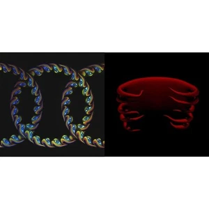 Tool - Lateralus (2LP/Picture Disc/4 Different Images/Holographic Gatefold) & - Picture 1 of 3