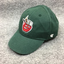 Fort Wayne TinCaps Hat Cap Stretch Fitted Toddler Boys MILB Minor Baseball 47