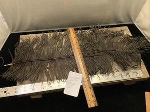 1501🌟Vintage Antique Large Fancy Flat Black Ostrich Feather Plume 8” X 20” - Picture 1 of 8