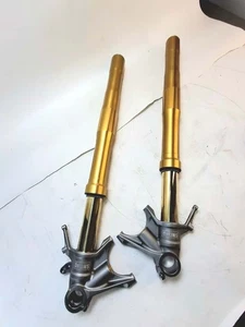 Coppia forcelle ohlins elettroniche per Ducati Panigale v4 R 2023 FL 974 - Imagen 1 de 6