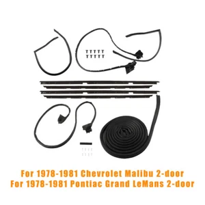 Labwork Weatherstripping Seals Kit For 1978-1981 Chevrolet  Malibu LeMans 232798 - Foto 1 di 24