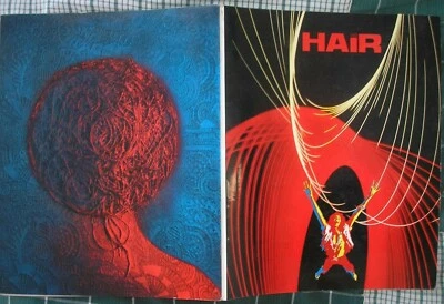 HAIR PROGRAMMA ITALIANO MUSICAL 1970 RENATO ZERO TEO TEOCOLI VICTOR SPINETTI - Immagine 1 di 4