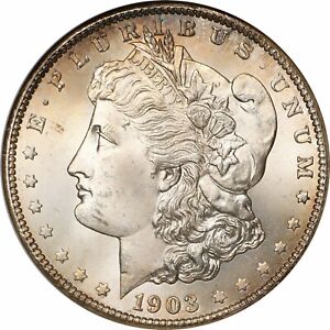 1903-S NGC Fatty MS64 CAC Morgan Silver Dollar 424003
