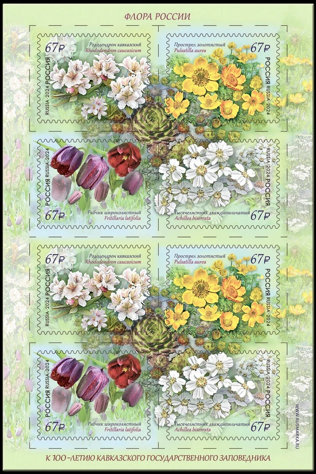 Russia-2024.  Flora. Caucasian State Reserve. Mini-sheet - Image 1 of 1