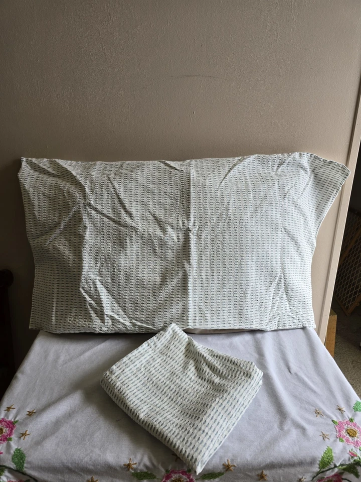 Juego de 2 fundas de almohada a cuadros de guinga verde azulado/blanco umbral King Foto 1 de 4