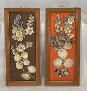 Kitschy Sea Shell Floral Wall Designs Wood Frame Brown Orange Background - Picture 1 of 11