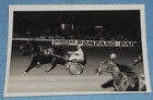 Vintage Harness Racing Press Photo Horse "Turban" Pompano Park Florida