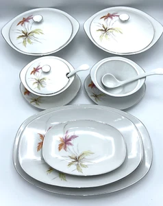 Hutschenreuther Hohenberg 9 pc.+ Porcelain MCM Dish Set Rare pattern # 03852 - Picture 1 of 18