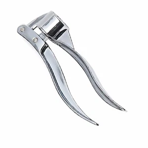Stainless Steel Garlic Press Ø 2.5 cm - Picture 1 of 1