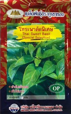 2 Grams Thai Sweet Basil (โหระพา) + in stock ready for shipment in the U.S +