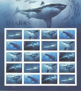 Hoja de Estampillas USPS Tiburones Biología Marina Tiburón Semana Gran Blanco Mako Estampillada sin montar o nunca montada 2016 - Imagen 1 de 1