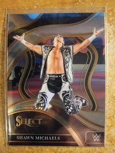 Panini Select WWE 2024 - Ringside Shawn Michaels #281 - Imagen 1 de 1