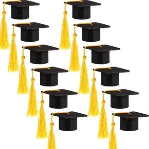 12 Pack Mini Graduation Caps Graduation Cap Bottle Toppers Bachelor Graduation H - Picture 1 of 12