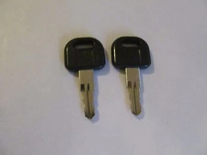 2 Keys CW413 FIC Entry Door Lock Handle Knob Deadbolt RV Motorhome Trailer Key - Picture 1 of 1