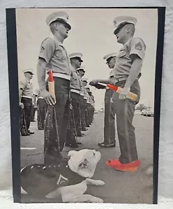 Original Silly Collage Art 8x11 Serving Your Country Is A Drag Sometimes - Picture 1 of 4
