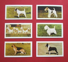 HORNIMANS  SIX  VINTAGE  1961  COLLECTABLE  TEA CARDS   DOGS   21-22-23-25-26-27